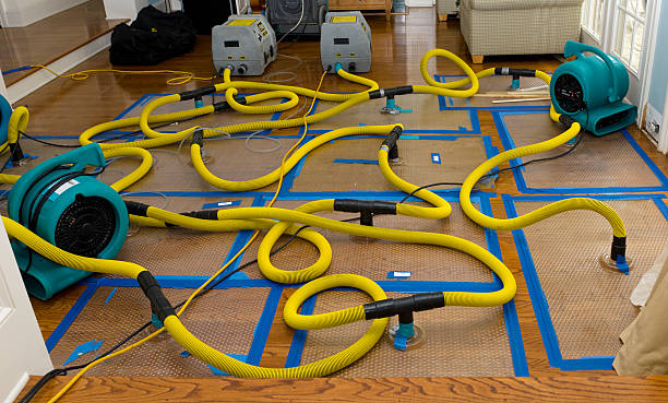 Professional Water Extraction technician working in Wellington, OH